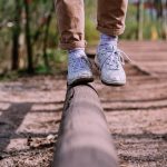 equilibrio di proteine